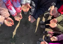 I bambini delle classi I della scuola primaria, oggi pomeriggio hanno seminato la nuova oasi per la biodiversità